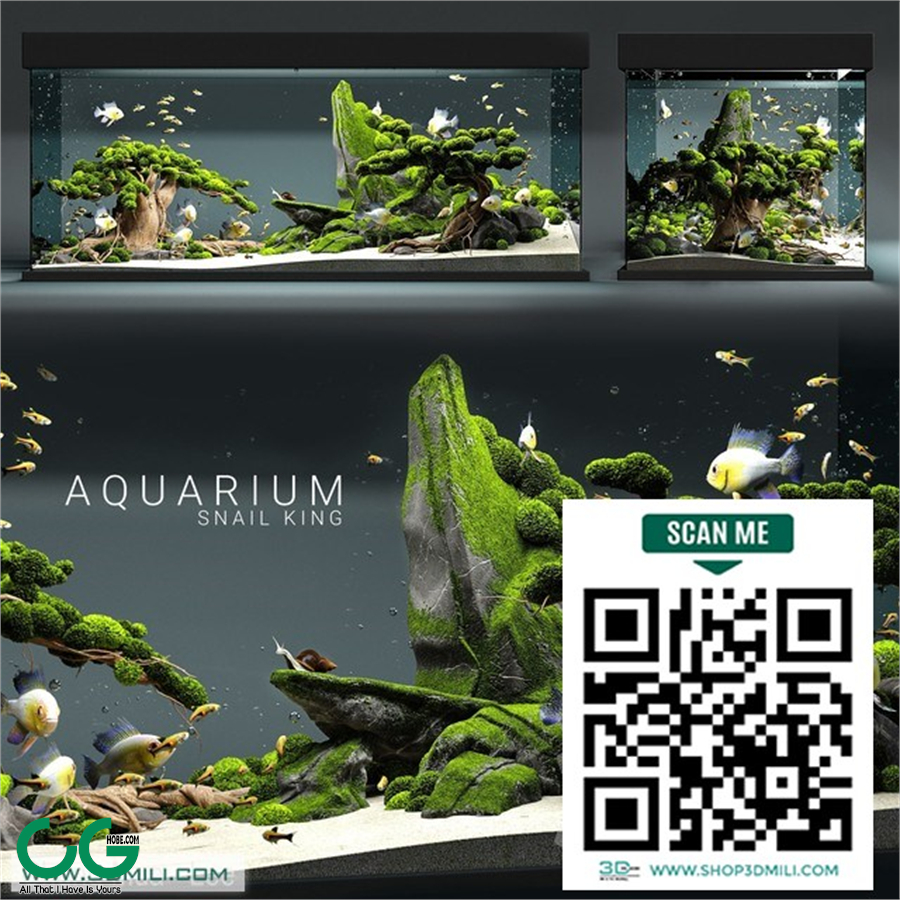 Aquarium snail king